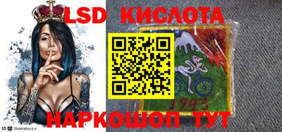 тгк Новозыбков