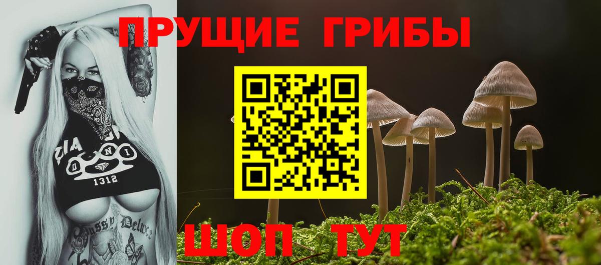 купить наркотики сайты  Вход с VPN  Чехов  Псилоцибиновые грибы Psilocybe  Галлюциногенные грибы Psilocybe 