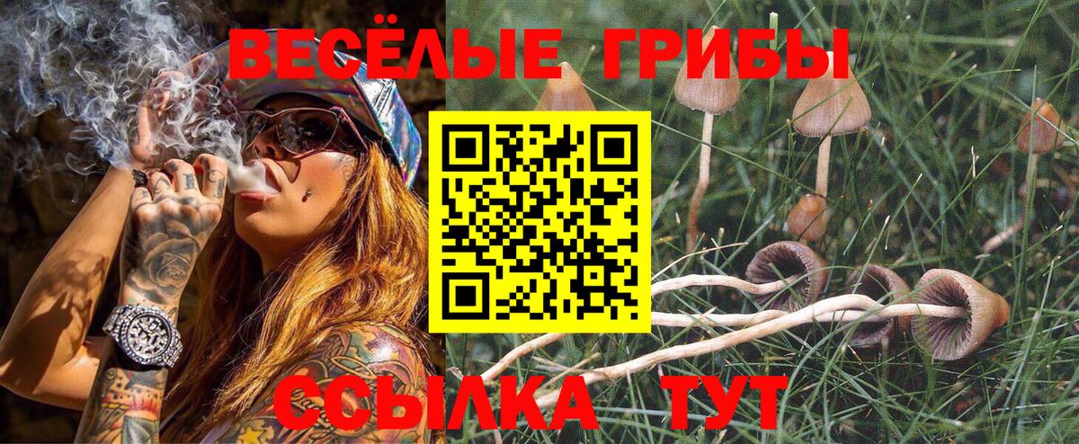 Галлюциногенные грибы Cubensis Чехов